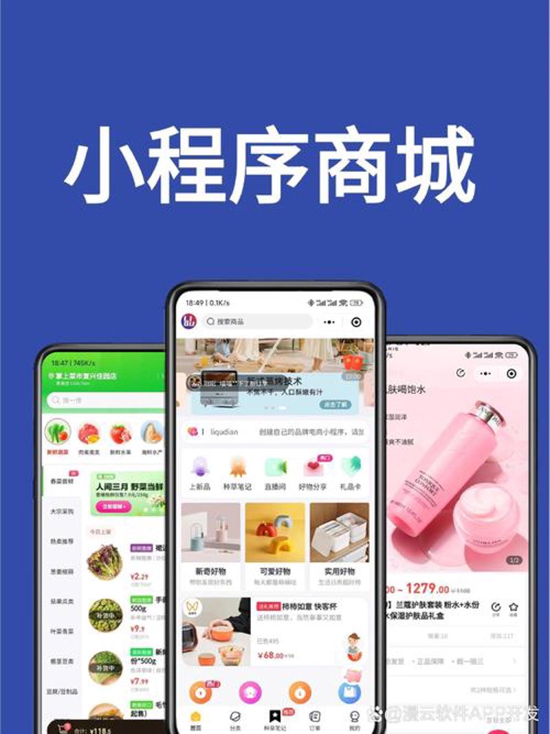 科技引领未来：礼纪网络科技的新发展